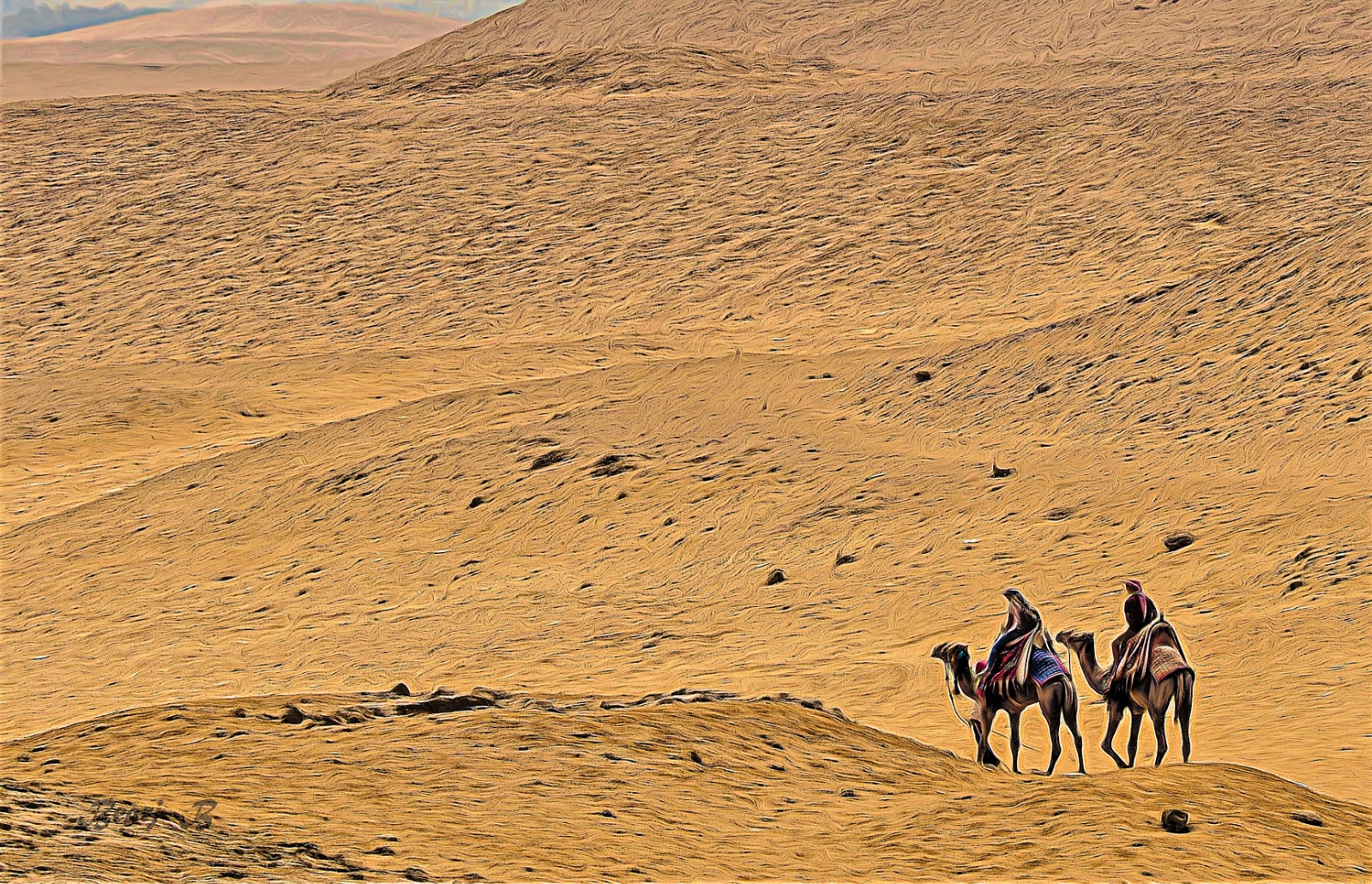 Camels in the Desert